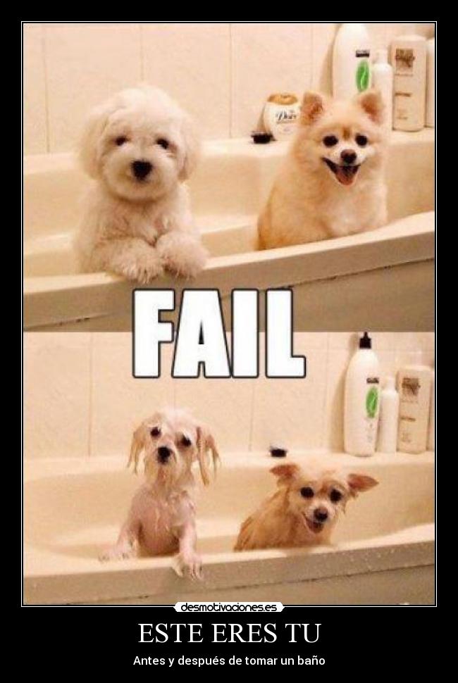 ESTE ERES TU - Antes y después de tomar un baño