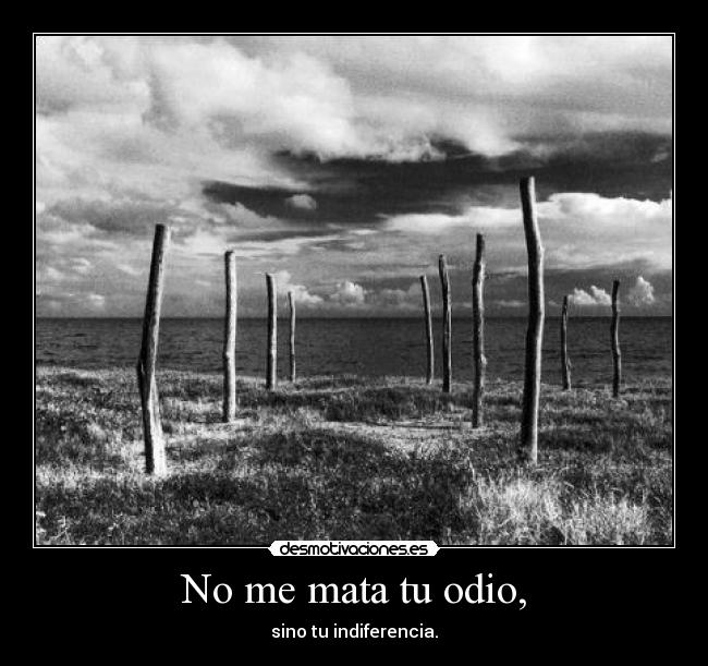 No me mata tu odio, - sino tu indiferencia.