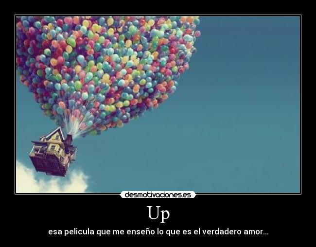 Up - esa pelicula que me enseño lo que es el verdadero amor...