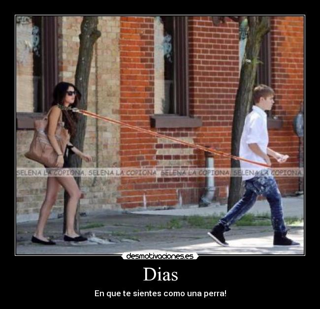 Dias - En que te sientes como una perra!