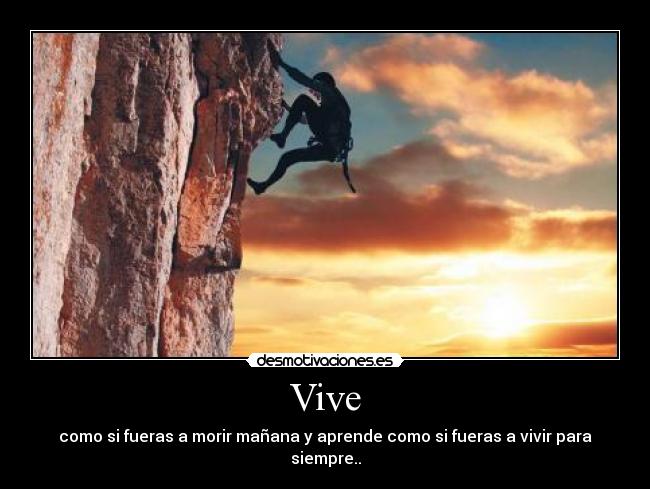 Vive -