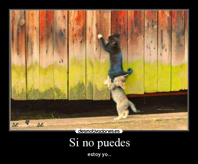 Si no puedes - 
