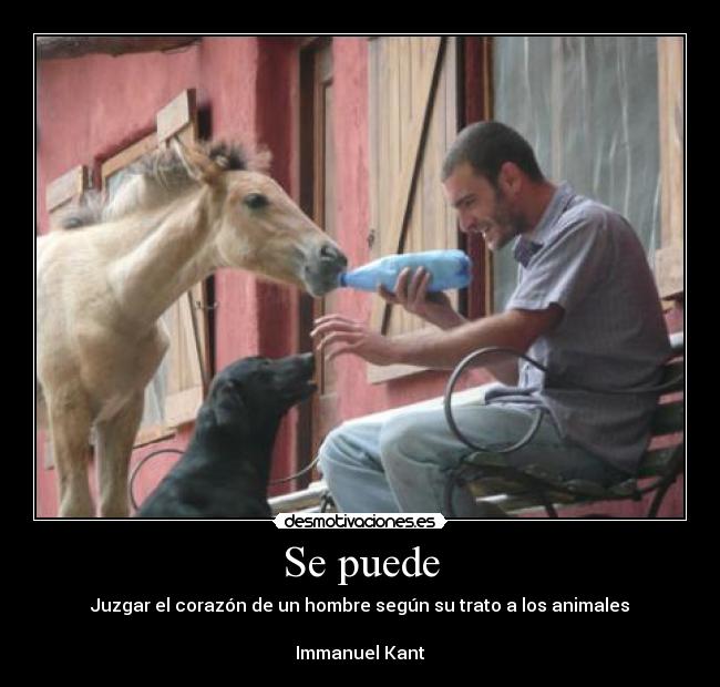 Se puede - Juzgar el corazón de un hombre según su trato a los animales
Immanuel Kant