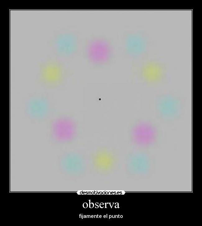 observa - fijamente el punto