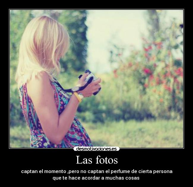 Las fotos - captan el momento ,pero no captan el perfume de cierta persona
que te hace acordar a muchas cosas ♥