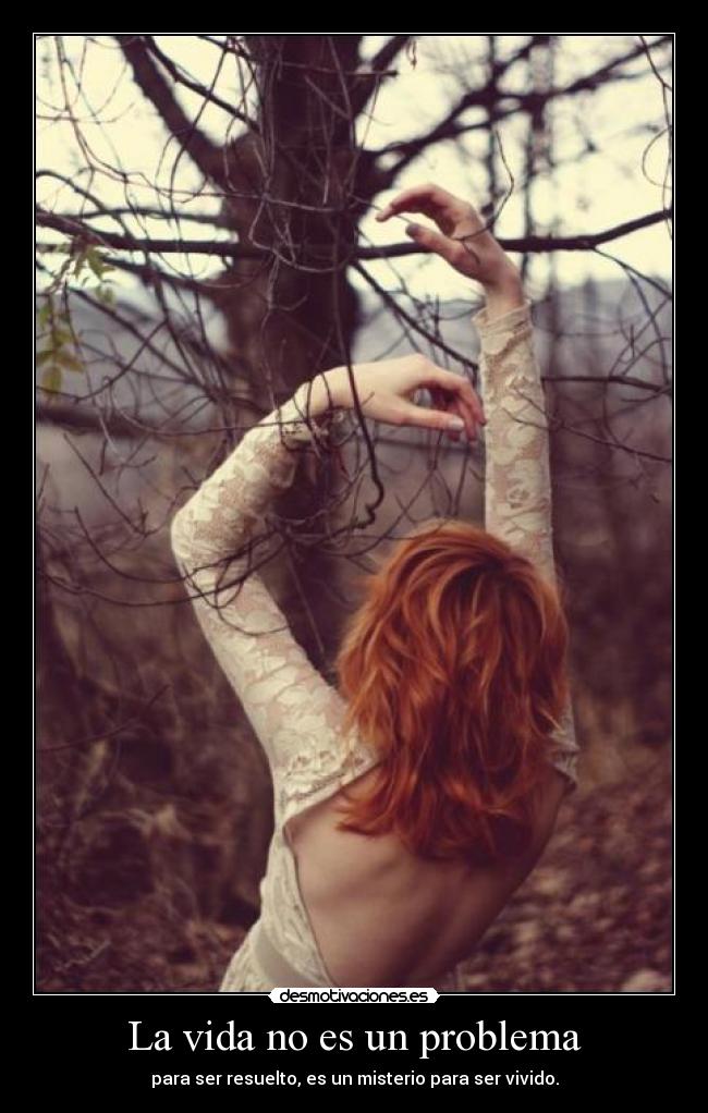 carteles vida vida problema clanbaneado desmotivaciones