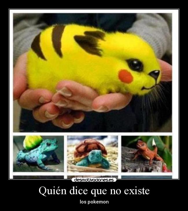 Quién dice que no existe -