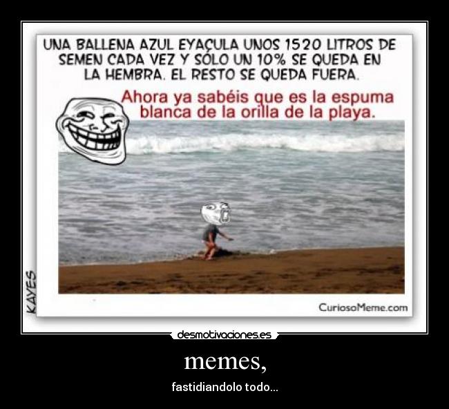 memes, - fastidiandolo todo...