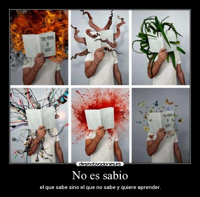 No es sabio -