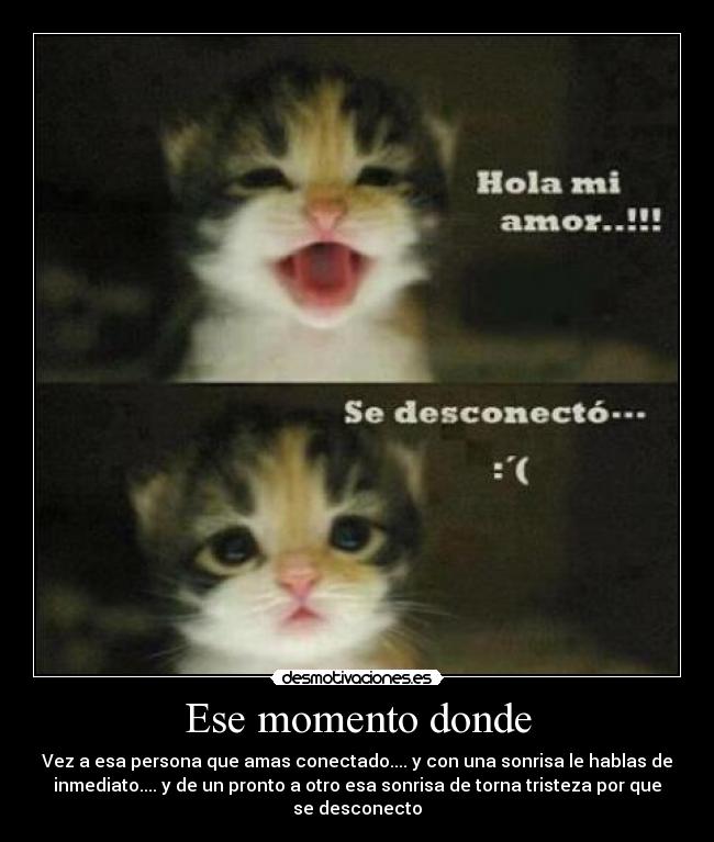 Ese momento donde - Vez a esa persona que amas conectado.... y con una sonrisa le hablas de
inmediato.... y de un pronto a otro esa sonrisa de torna tristeza por que
se desconecto♥