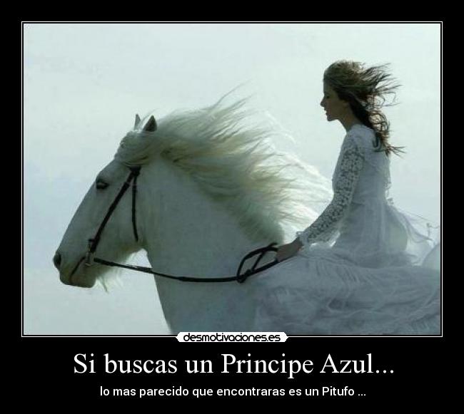 Si buscas un Principe Azul... - lo mas parecido que encontraras es un Pitufo ...