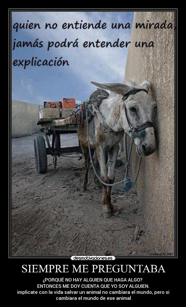 SIEMPRE ME PREGUNTABA - ¿PORQUÉ NO HAY ALGUIEN QUE HAGA ALGO?
ENTONCES ME DOY CUENTA QUE YO SOY ALGUIEN.
implicate con la vida salvar un animal no cambiara el mundo, pero si
cambiara el mundo de ese animal