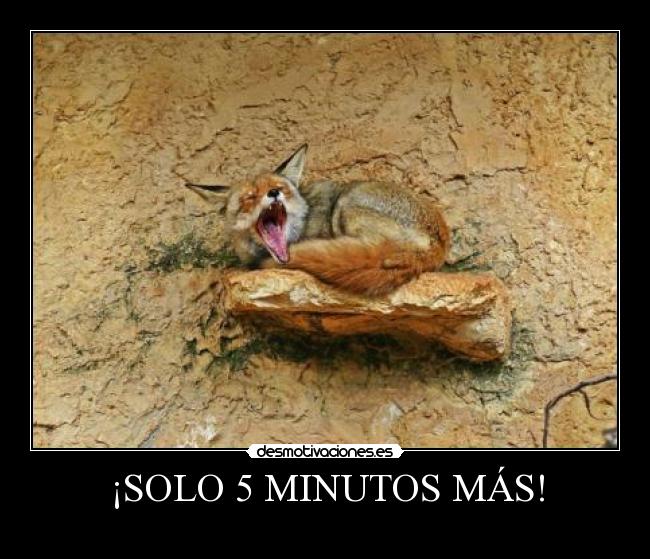 ¡SOLO 5 MINUTOS MÁS! - 