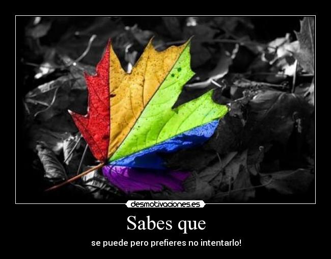 Sabes que - se puede pero prefieres no intentarlo!