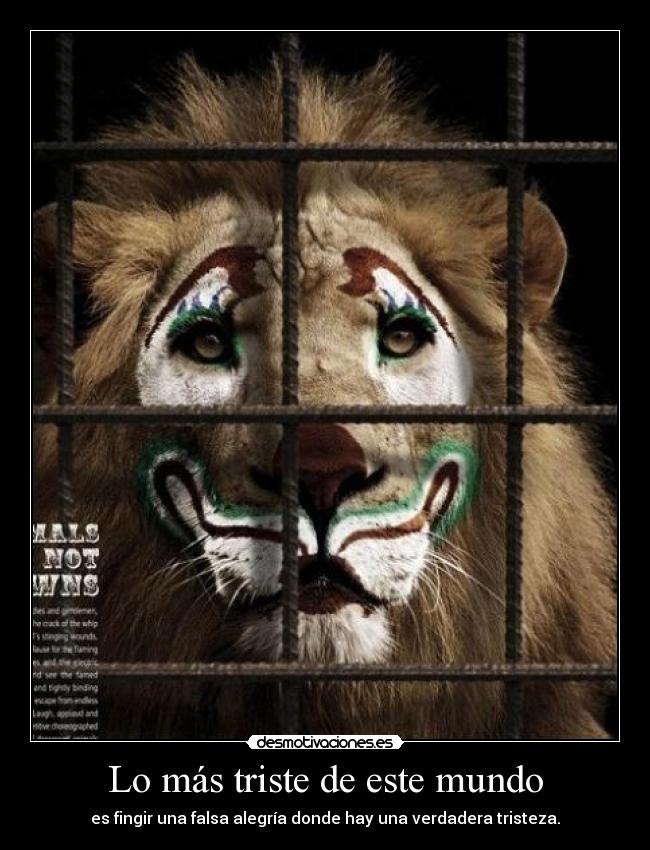 Lo más triste de este mundo - es fingir una falsa alegría donde hay una verdadera tristeza.