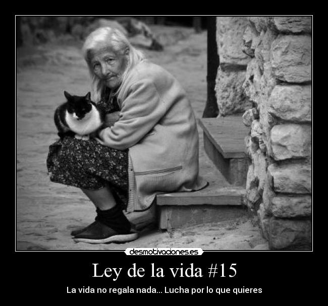 Ley de la vida #15 -