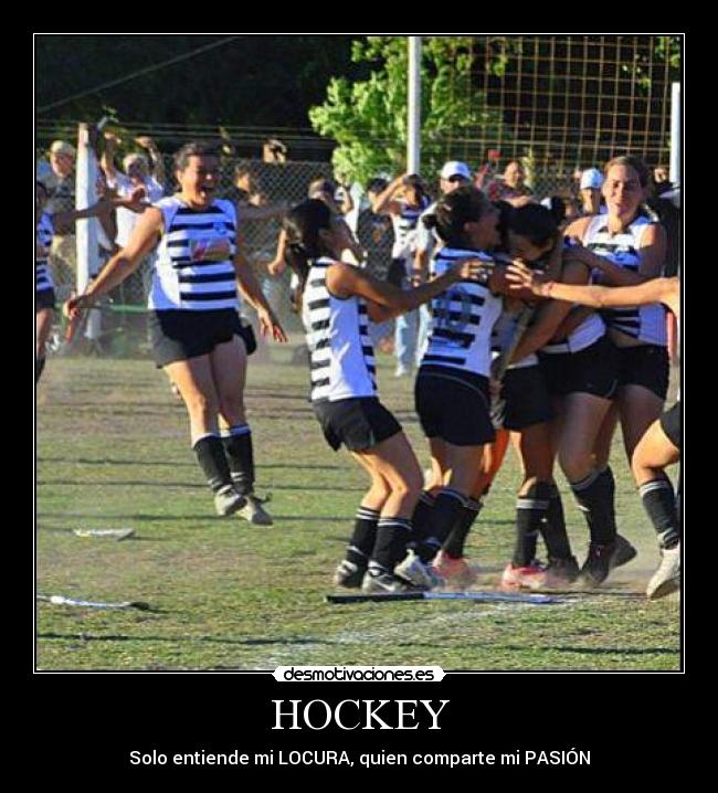 carteles sasii lima desmotivaciones