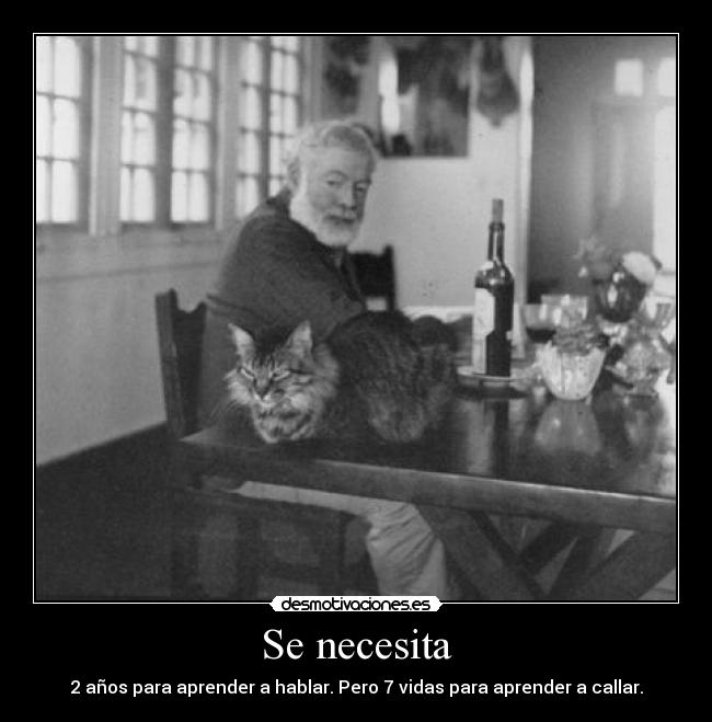 carteles mau999dream desmotivaciones