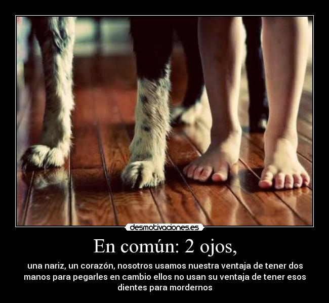 En común: 2 ojos, -