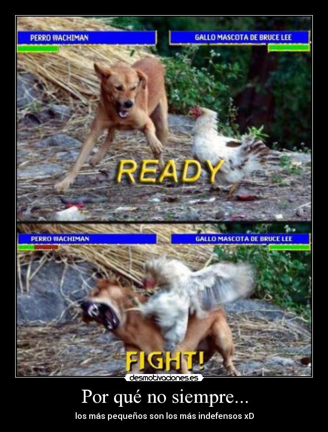 Por qué no siempre... - los más pequeños son los más indefensos xD