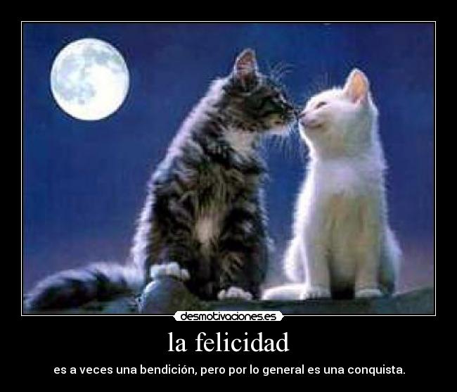 la felicidad - es a veces una bendición, pero por lo general es una conquista.