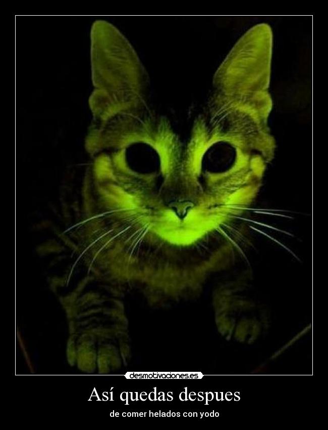 Así quedas despues - 