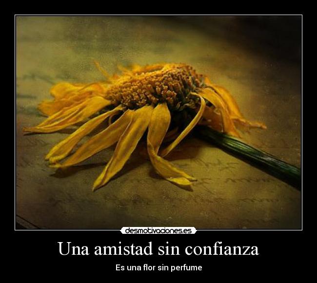 Una amistad sin confianza -
