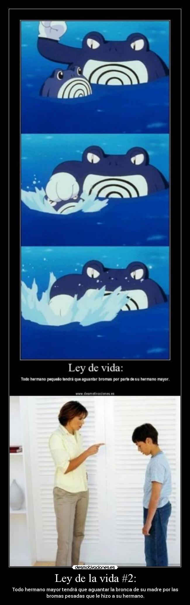 Ley de la vida #2: -