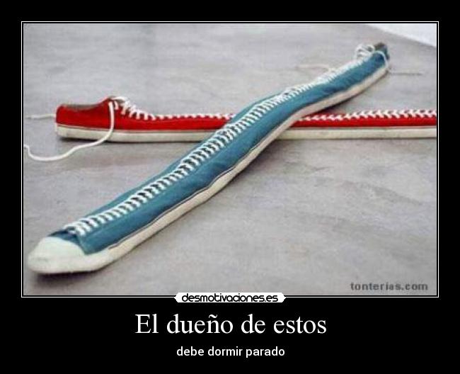 El dueño de estos - debe dormir parado
