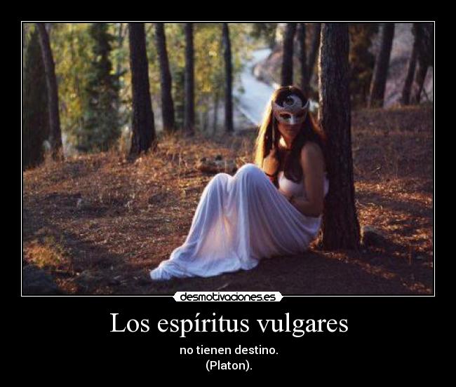 carteles los espiritus vulgares tienen destino platon desmotivaciones