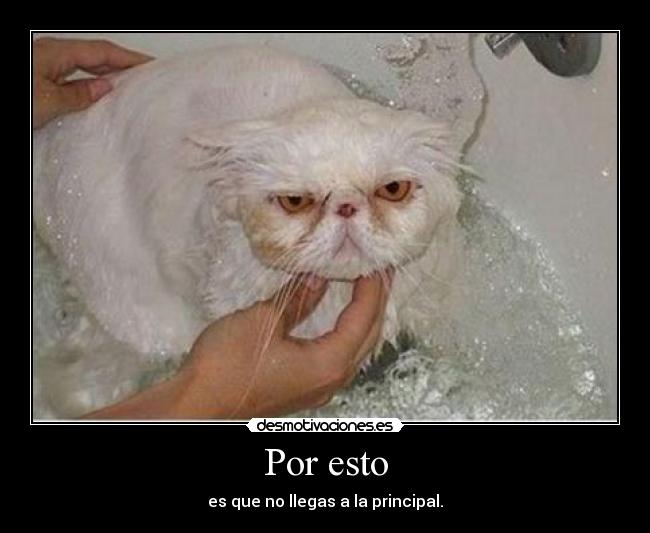 Por esto - es que no llegas a la principal.