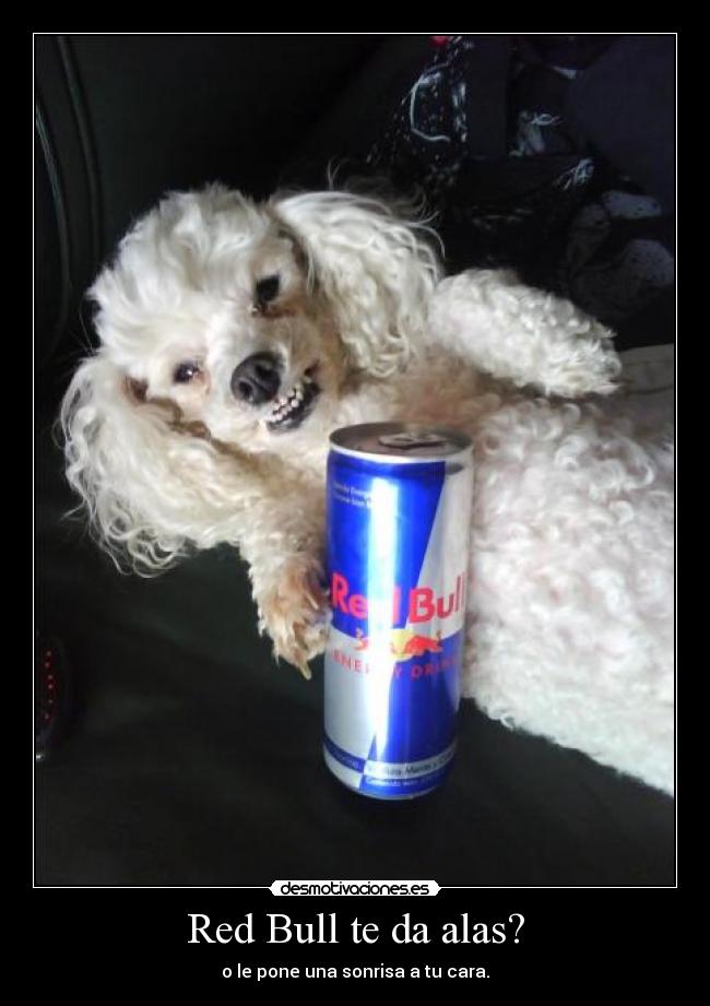 Red Bull te da alas? - o le pone una sonrisa a tu cara.