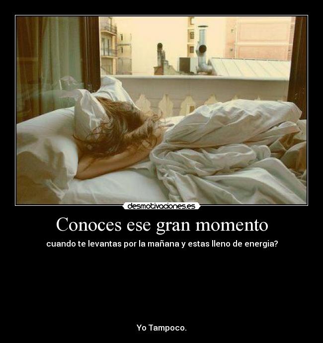 Conoces ese gran momento - cuando te levantas por la mañana y estas lleno de energia?







Yo Tampoco.