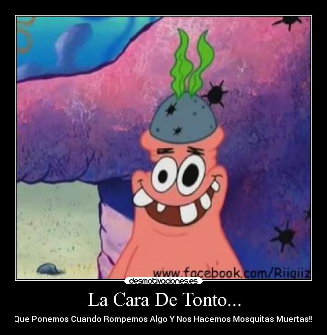 La Cara De Tonto... -