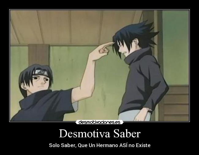 Desmotiva Saber - Solo Saber, Que Un Hermano ASÍ no Existe