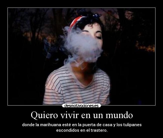 carteles mundo makasister bienvenido republica independiente mundo desmotivaciones