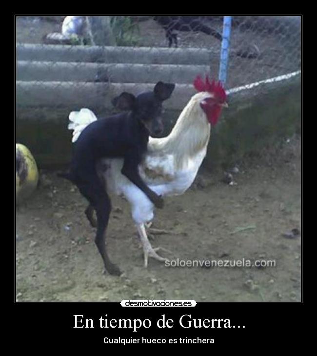 carteles guerra cesar gutierrez desmotivaciones