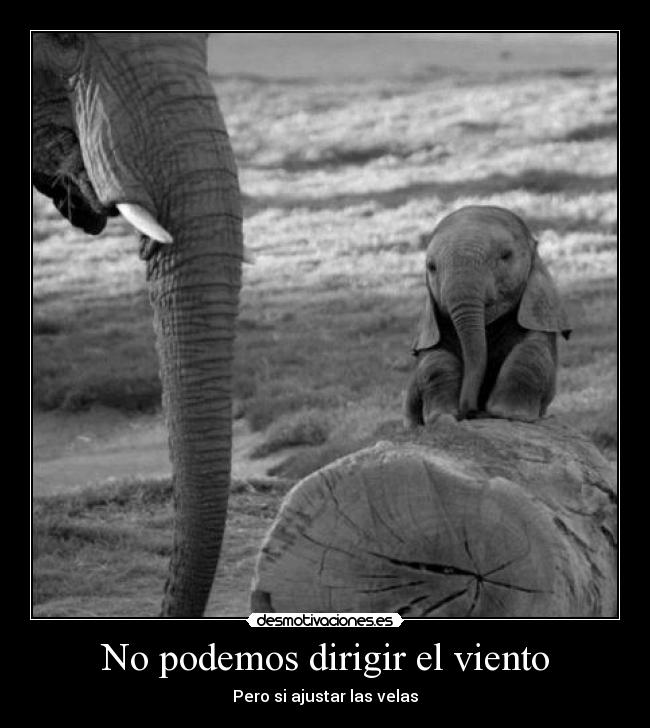 No podemos dirigir el viento -
