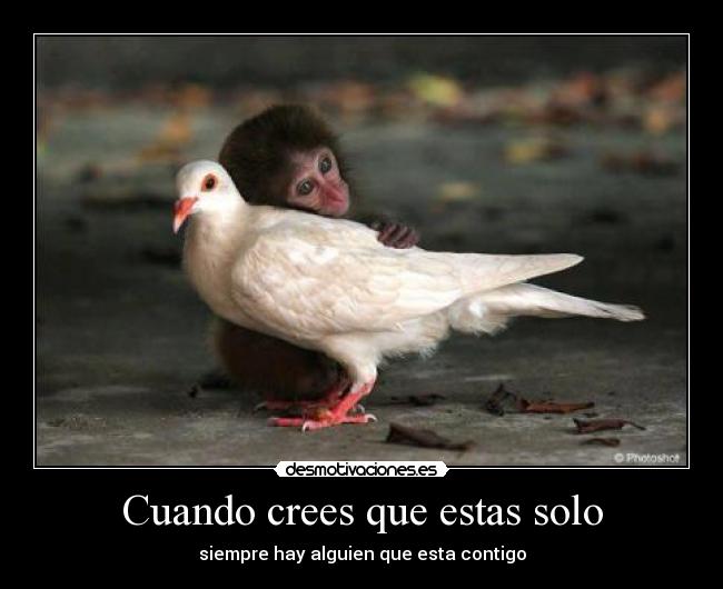 carteles qwss desmotivaciones