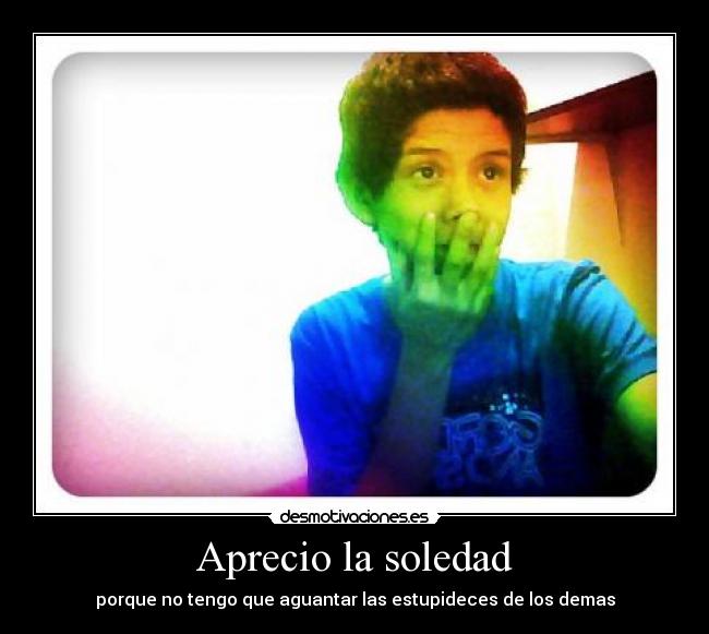 carteles soledad nikolas desmotivaciones