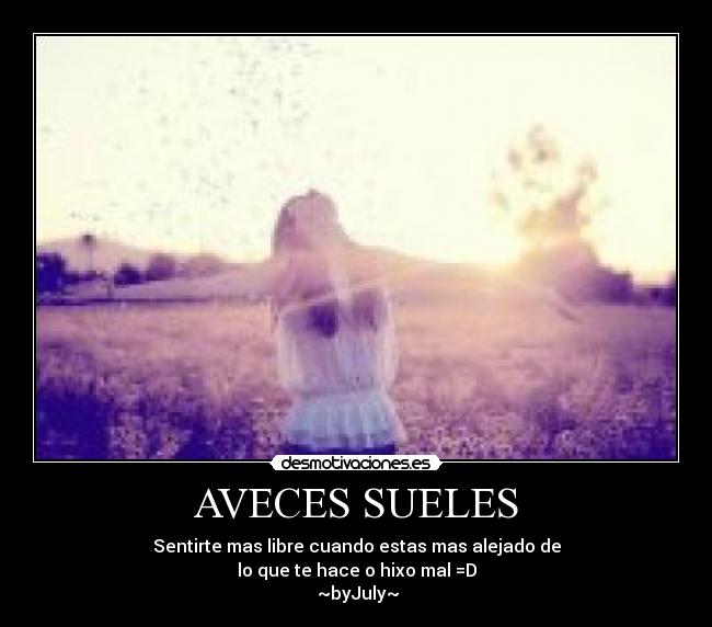 AVECES SUELES -