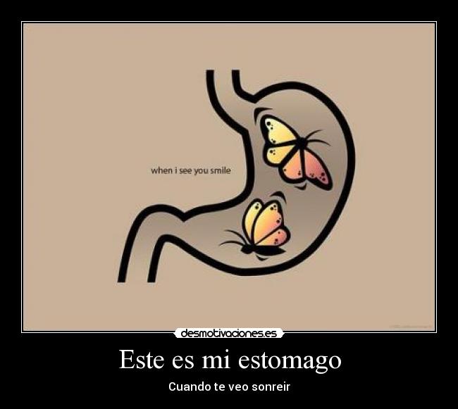 Este es mi estomago - Cuando te veo sonreir