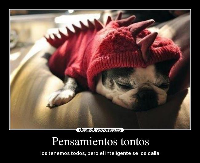 Pensamientos tontos - los tenemos todos, pero el inteligente se los calla.