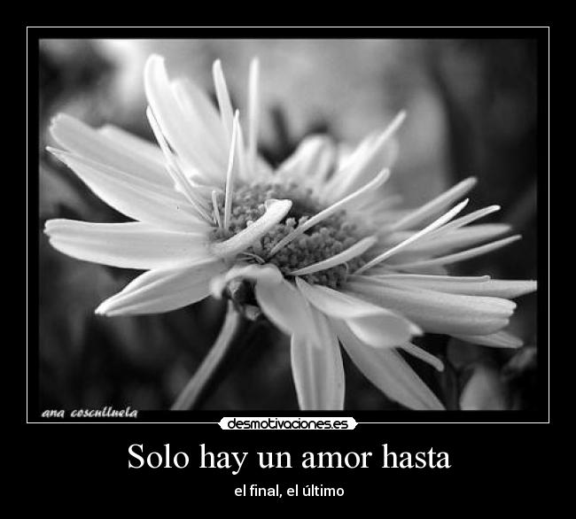 Solo hay un amor hasta - el final, el último