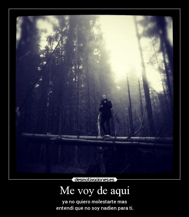 Me voy de aqui - ya no quiero molestarte mas
entendi que no soy nadien para ti.