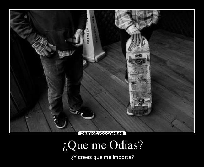 ¿Que me Odias? - ¿Y crees que me Importa?