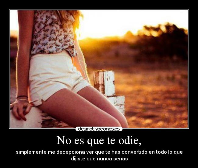 No es que te odie, - simplemente me decepciona ver que te has convertido en todo lo que
dijiste que nunca serías