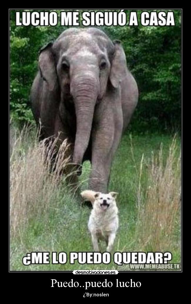 carteles isajhasminmayitamujeres lindas desmotivaciones