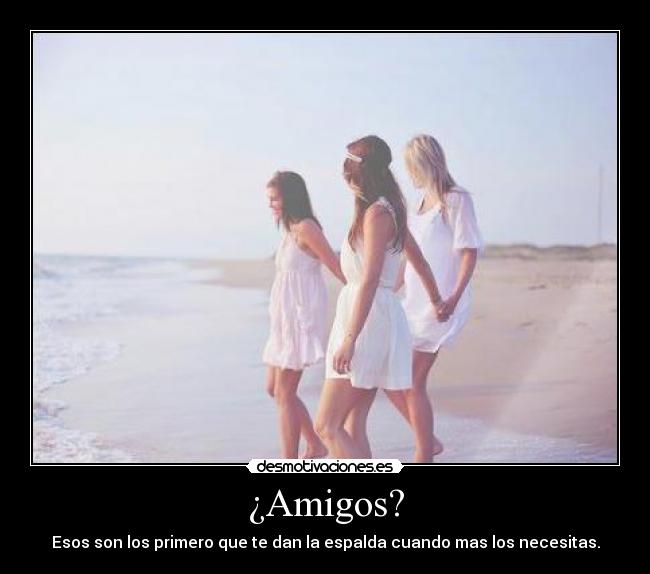 ¿Amigos? - 