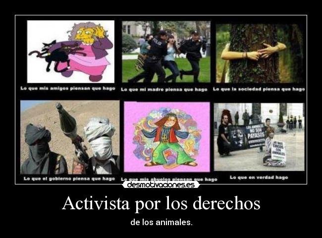 Activista por los derechos - 